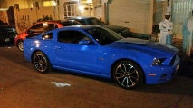 للبيع فورد Mustang  2013