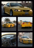 للبيع فورد Mustang  1999