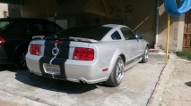 للبيع فورد Mustang  2005