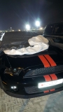 للبيع فورد Mustang  2012