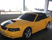 للبيع فورد Mustang  2003