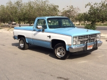 للبيع شفروليت S- 10 1985