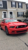 للبيع فورد Mustang  2013