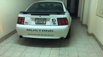 للبيع فورد Mustang  2003