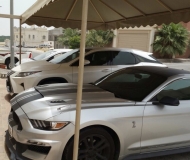 للبيع فورد Mustang  2016