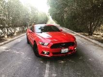 للبيع فورد Mustang  2016