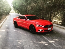 للبيع فورد Mustang  2016