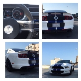 للبيع فورد Mustang  2013