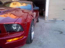 للبيع فورد Mustang  2005