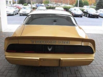 للبيع بونتياك Transam 1979