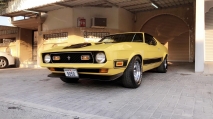 للبيع فورد Mustang  1971