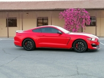 للبيع فورد Mustang  2016