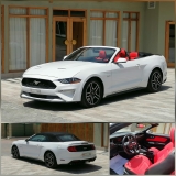 للبيع فورد Mustang  2019