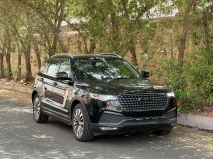 للبيع Zotye T700 2019