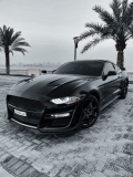 للبيع فورد Mustang  2019