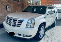 للبيع كاديلاك Escalade 2009