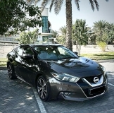 للبيع نيسان Maxima 2016