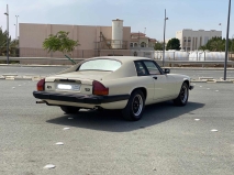 للبيع جاكور XJ 1981