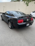 للبيع فورد Mustang  2005