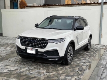 للبيع Zotye T700 2020