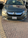 للبيع هوندا Odyssey 2019