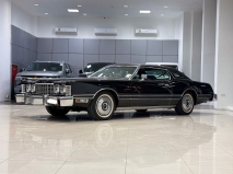 للبيع فورد Thunderbird 1976