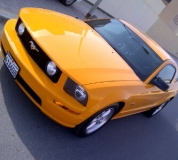 للبيع فورد Mustang  2007