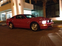 للبيع فورد Mustang  2009