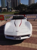 للبيع شفروليت Corvette 1981