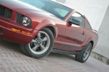 للبيع فورد Mustang  2005