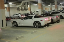 للبيع شفروليت Corvette 2005